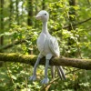 Feather Friends – Blue Crane – Plush Toy Feather Friends