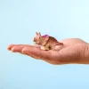Triceratops SET – BumbuToys BumbuToys