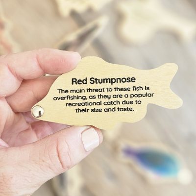 Envirokid – Wooden Magnetic Fishing Game Envirokid