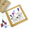 Envirokid – Flower Pressing Kit Envirokid Envirokid – Flower Pressing Kit Envirokid